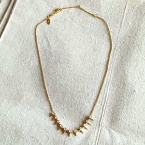 Delicate Renegade Necklace